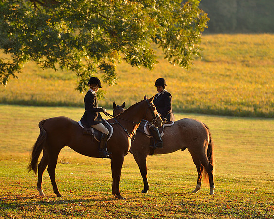 Shakerag opening Hunt 2015