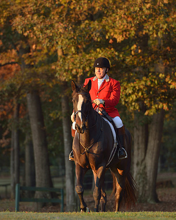 Shakerag opening Hunt 2015