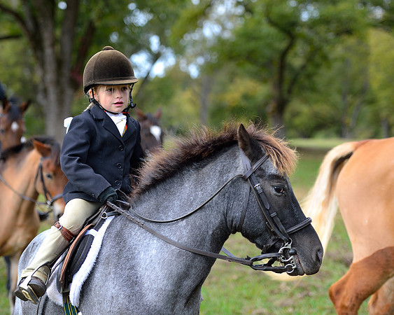 Belle Meade Opening Hunt 2014