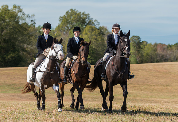 Belle Meade_228026_11-5-2016