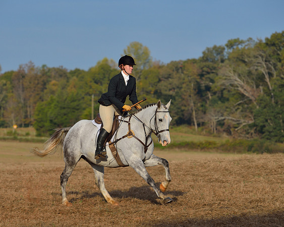 Shakerag opening Hunt 2015