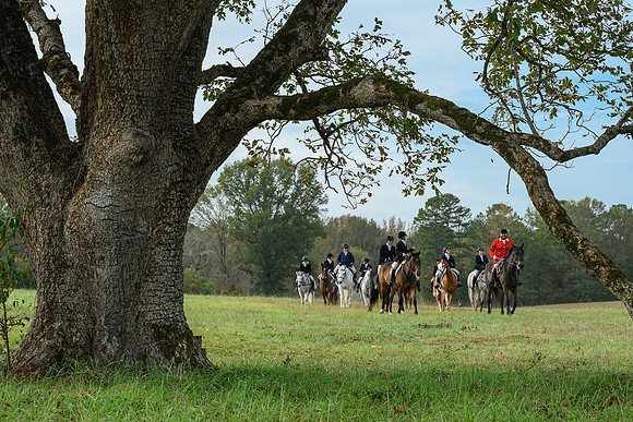 Belle Meade_20241102_420386