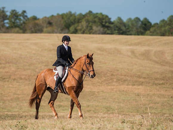 Belle Meade_227983_11-5-2016