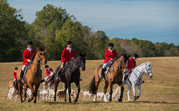 Belle Meade_228035_11-5-2016