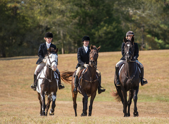 Belle Meade_228022_11-5-2016