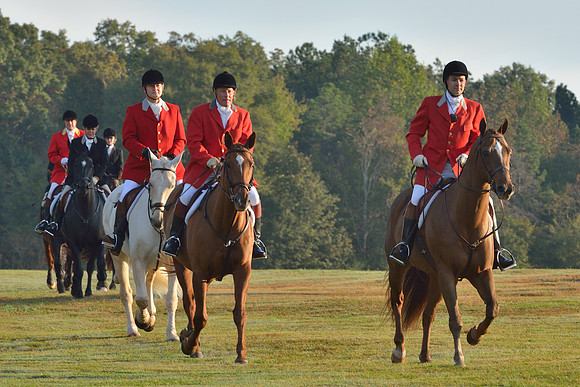 Shakerag opening Hunt 2015