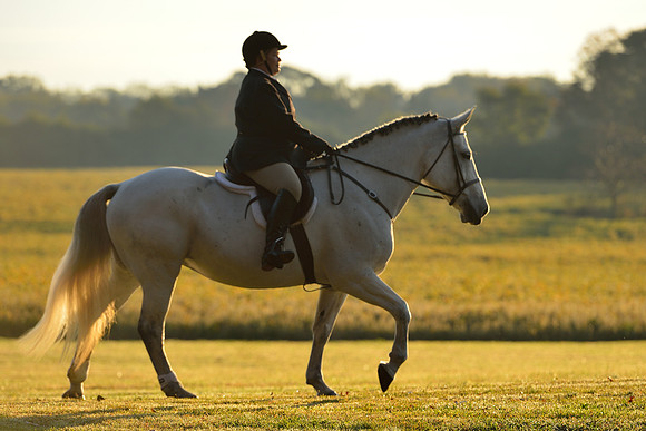 Shakerag opening Hunt 2015