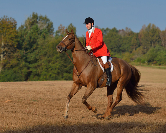 Shakerag opening Hunt 2015