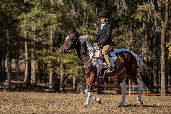 Belle Meade_227928_11-5-2016