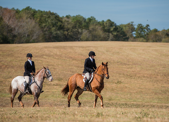 Belle Meade_227982_11-5-2016