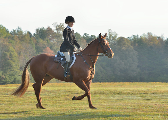 Shakerag opening Hunt 2015