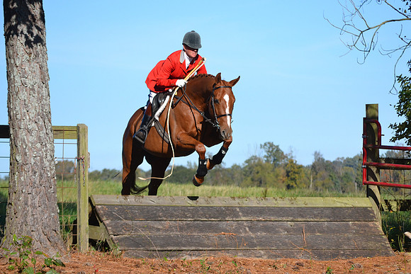 Shakerag Opening Hunt 2014