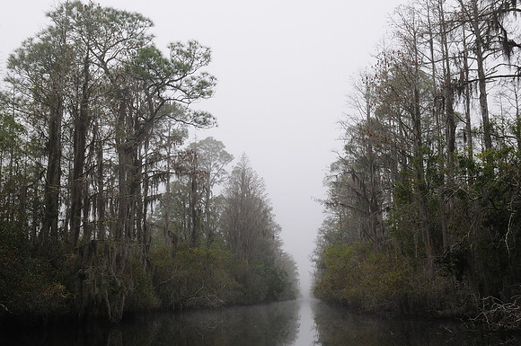 Okefenokee Suwanee Canal