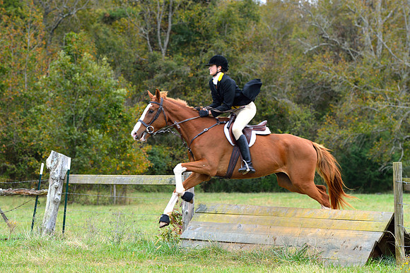 Belle Meade Opening Hunt 2014