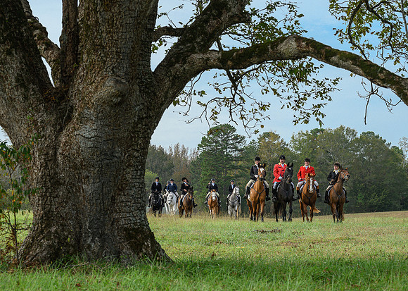Belle Meade_20241102_420382