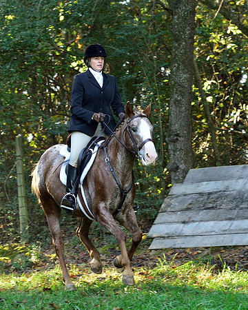Shakerag Opening Hunt 2014