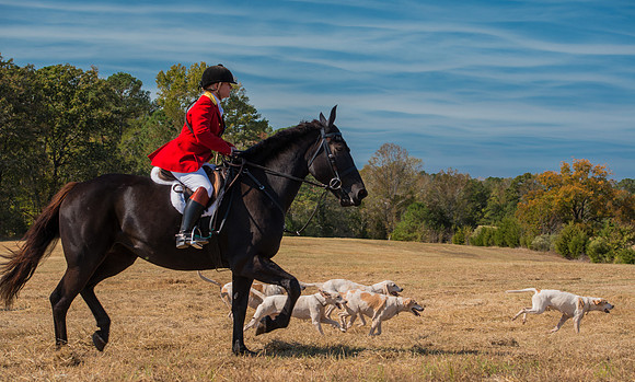 Belle Meade_228115_11-5-2016