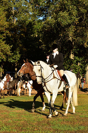 Shakerag Opening Hunt 2014