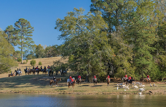 Belle Meade_229033_11-5-2016