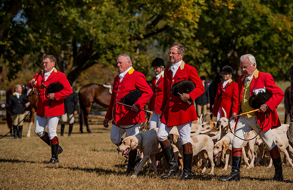 Belle Meade_228191_11-5-2016