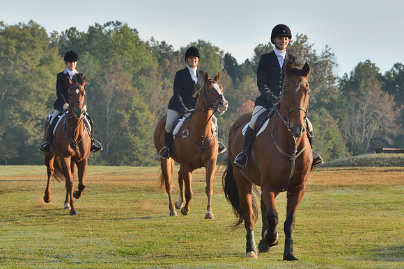 Shakerag opening Hunt 2015