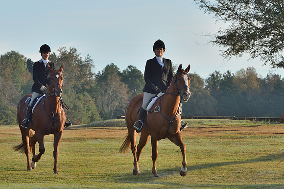 Shakerag opening Hunt 2015