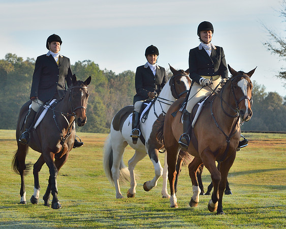 Shakerag opening Hunt 2015