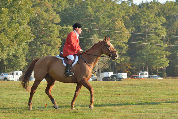Shakerag opening Hunt 2015