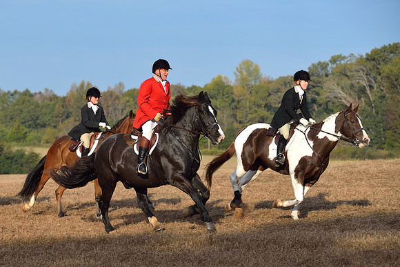 Shakerag opening Hunt 2015