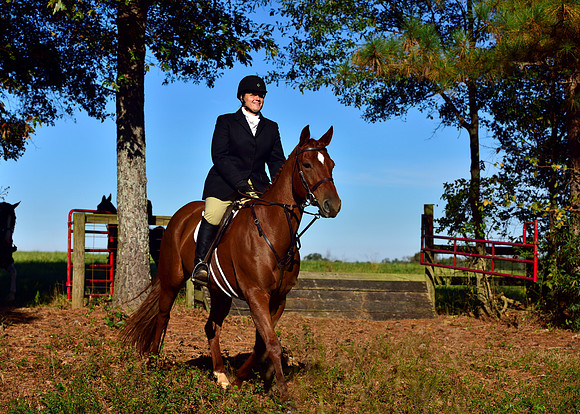 Shakerag Opening Hunt 2014