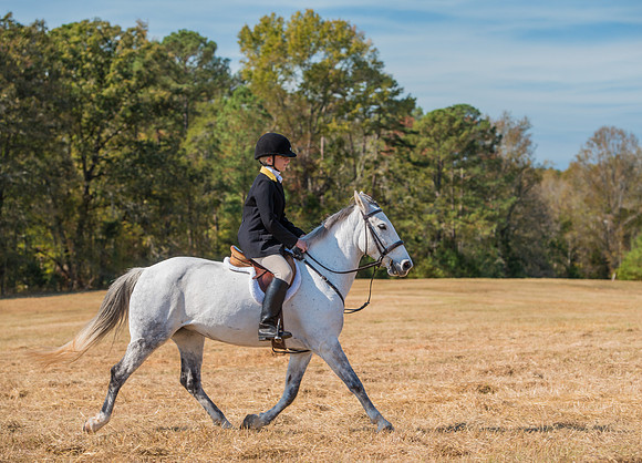 Belle Meade_228096_11-5-2016