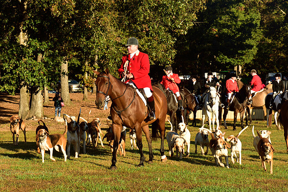 Shakerag Opening Hunt 2014