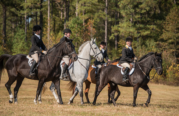 Belle Meade_227972_11-5-2016