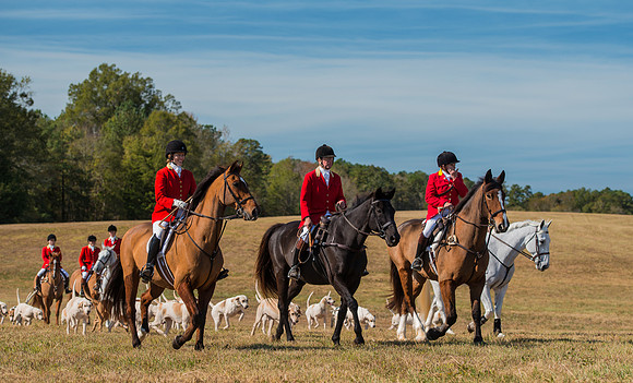 Belle Meade_228037_11-5-2016