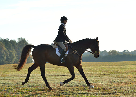 Shakerag opening Hunt 2015