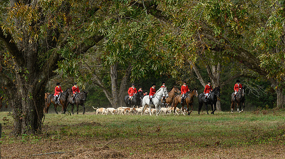 Belle Meade_20241102_420396