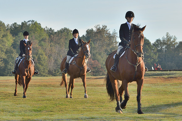Shakerag opening Hunt 2015
