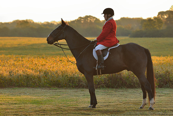Shakerag opening Hunt 2015