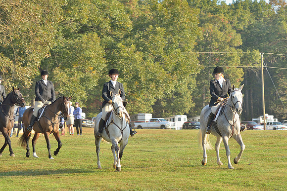 Shakerag opening Hunt 2015