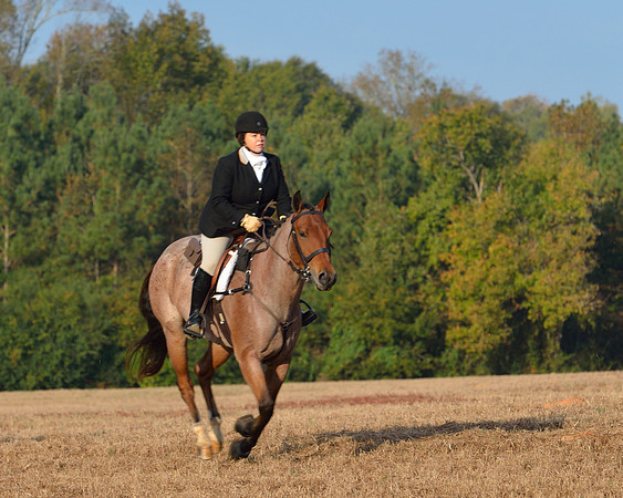 Shakerag opening Hunt 2015