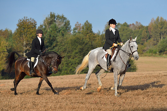 Shakerag opening Hunt 2015