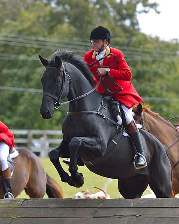 Belle Meade Opening Hunt 2014