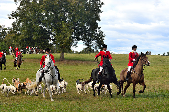 Belle Meade Opening Hunt 2014