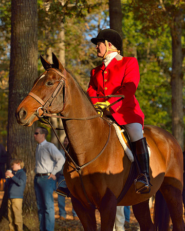 Shakerag opening Hunt 2015