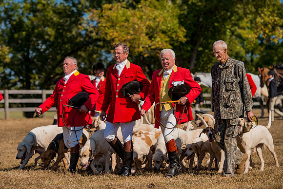 Belle Meade_228168_11-5-2016