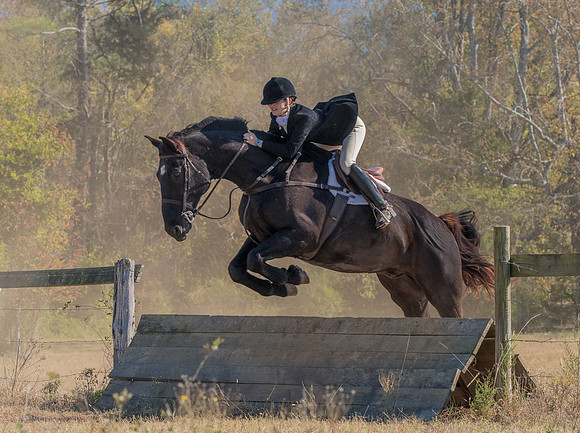 Belle Meade_228632_11-5-2016