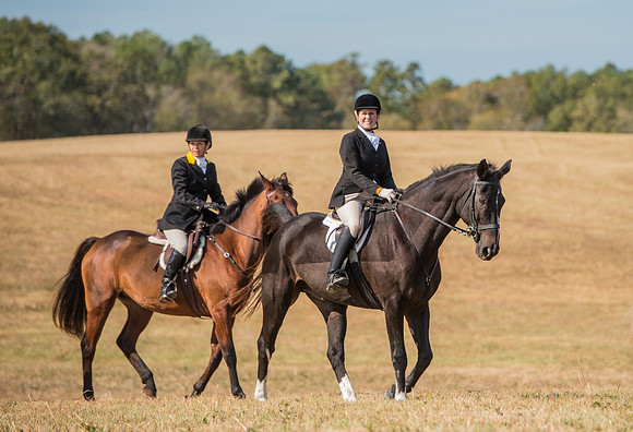 Belle Meade_227971_11-5-2016