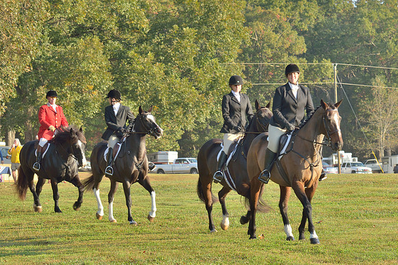 Shakerag opening Hunt 2015