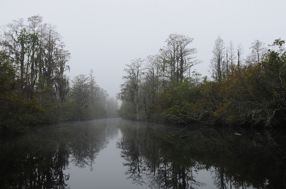 Okefenokee Suwanee Canal