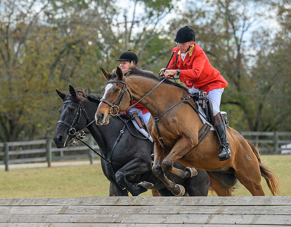 Belle Meade_20241102_420457
